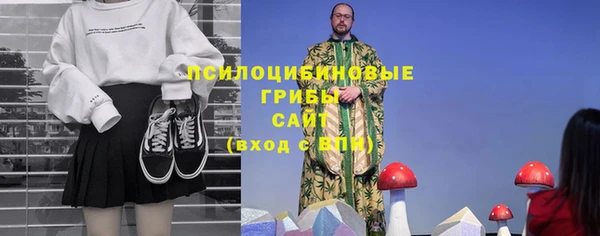 МДПВ Магас