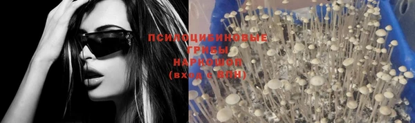 таблы Майский